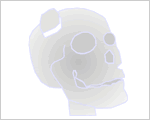 頭蓋骨・生体イメージ
